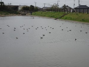 2016.3.20～21　海上キャンプ場 029