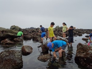2016.7.18 海の生物観察（銚子） 008