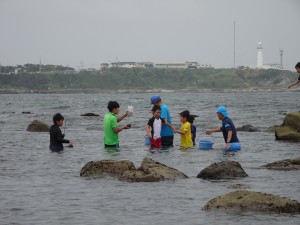 2016.7.18 海の生物観察（銚子） 070