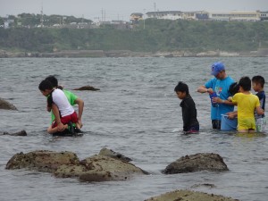 2016.7.18 海の生物観察（銚子） 066