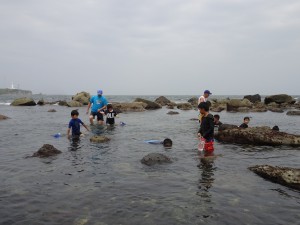 2016.7.18 海の生物観察（銚子） 077