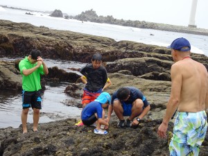 2016.7.18 海の生物観察（銚子） 033