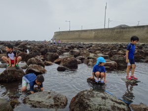 2016.7.18 海の生物観察（銚子） 009
