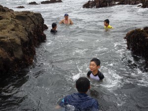 2016.7.18 海の生物観察（銚子） 025